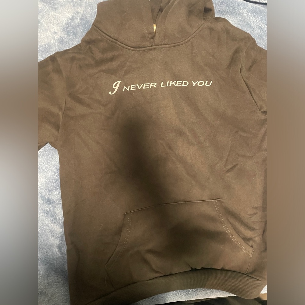 I never liked you hoodie